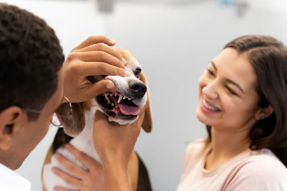 servicios veterinarios en Abrera
