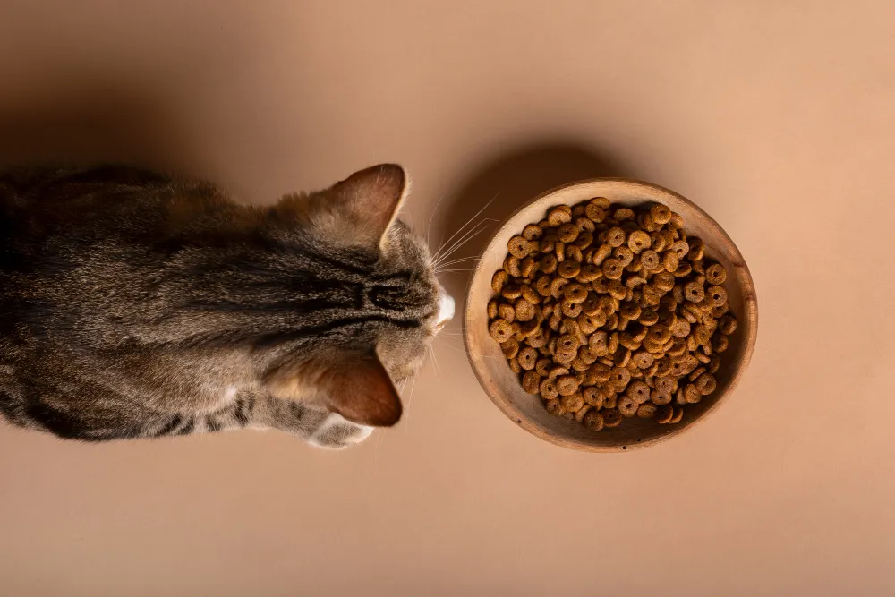 comprar alimento para mascotas en Abrera